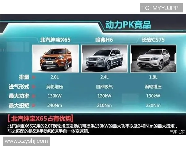 独家解读：BLG与竞争对手技术实力的全面对比分析