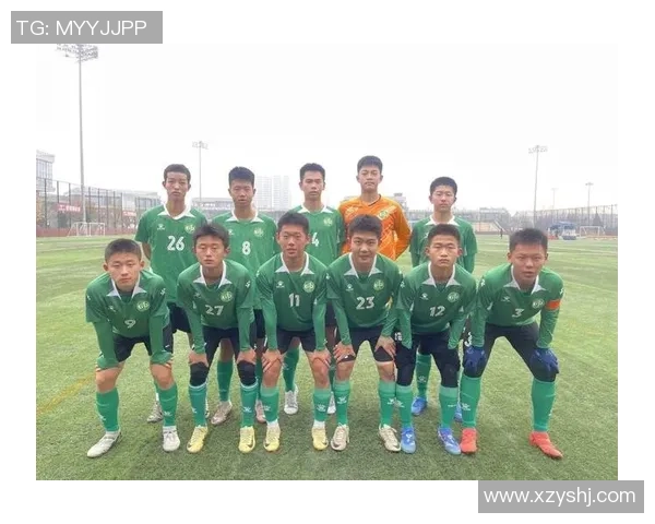 西安极限运动队进攻战术分析与实战应用探讨